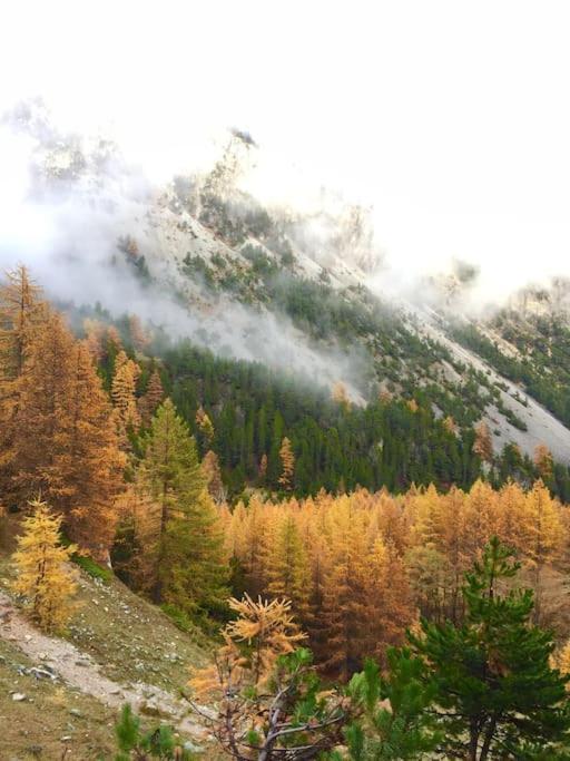 Relax In Montagna Lejlighed Bardonecchia Eksteriør billede